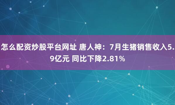 怎么配资炒股平台网址 唐人神：7月生猪销售收入5.9亿元 同比下降2.81%